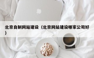 宁夏北京自制网站建设（北京网站建设哪家公司好）